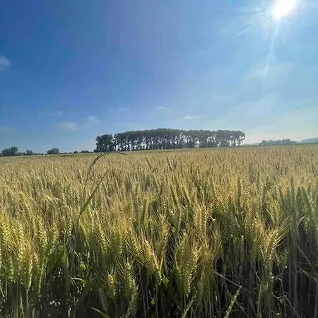 Hébergement de vacances La Maison De Solange *