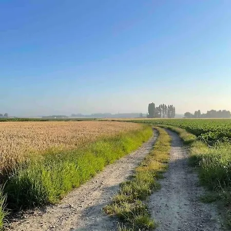 La Maison De Solange Esquelbecq